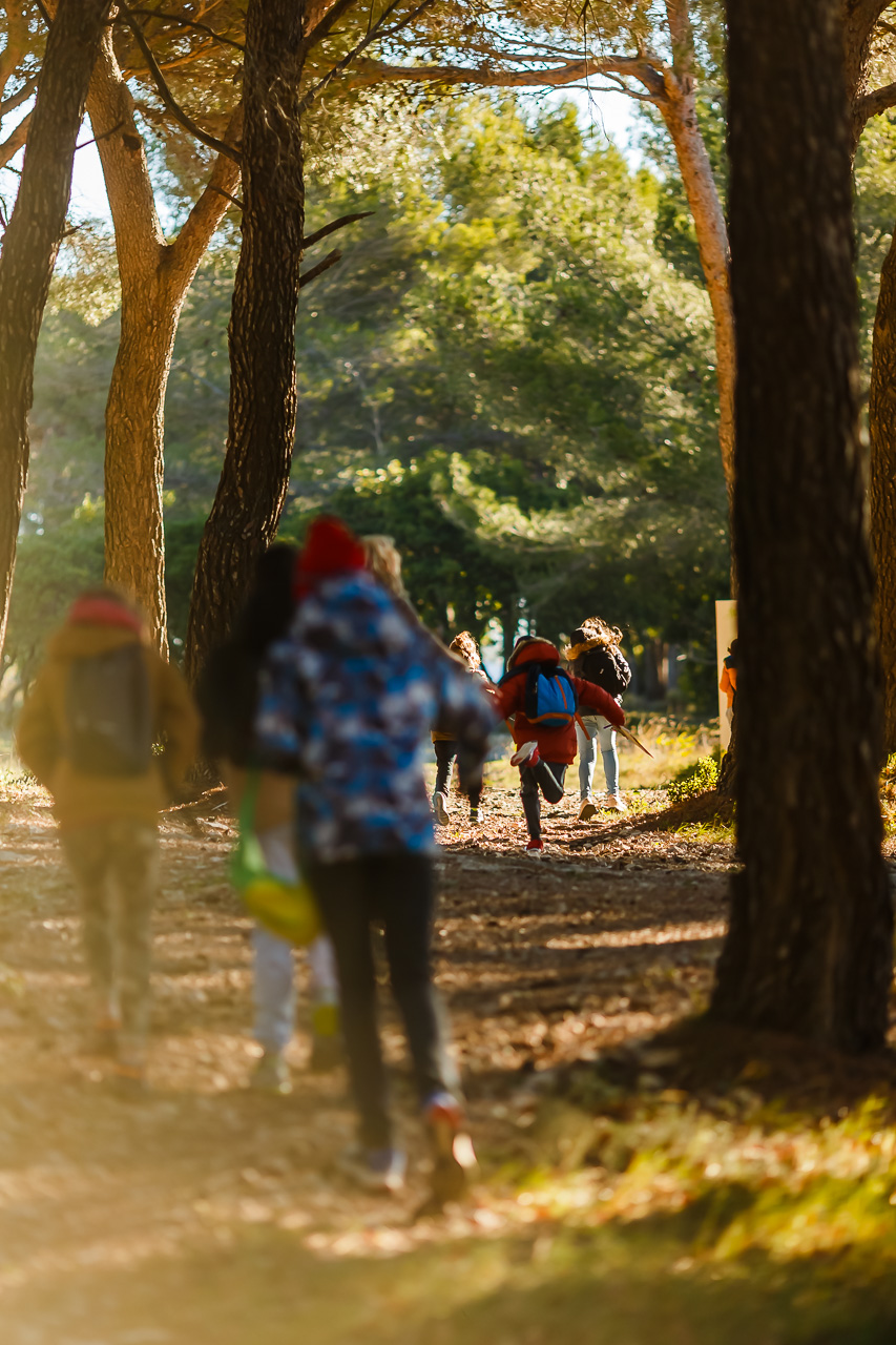 LE PARCOURS DE TEDDY - WEB-39