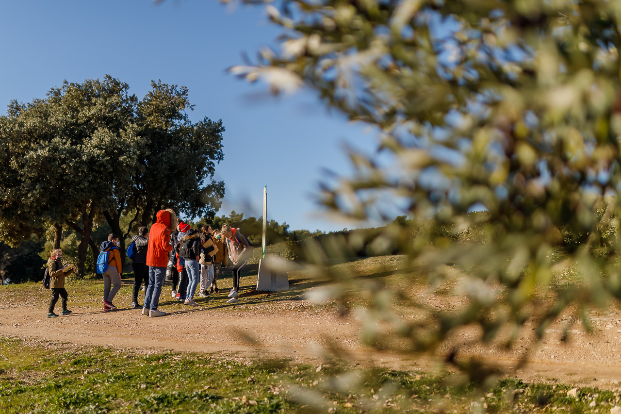 LE PARCOURS DE TEDDY - WEB-55